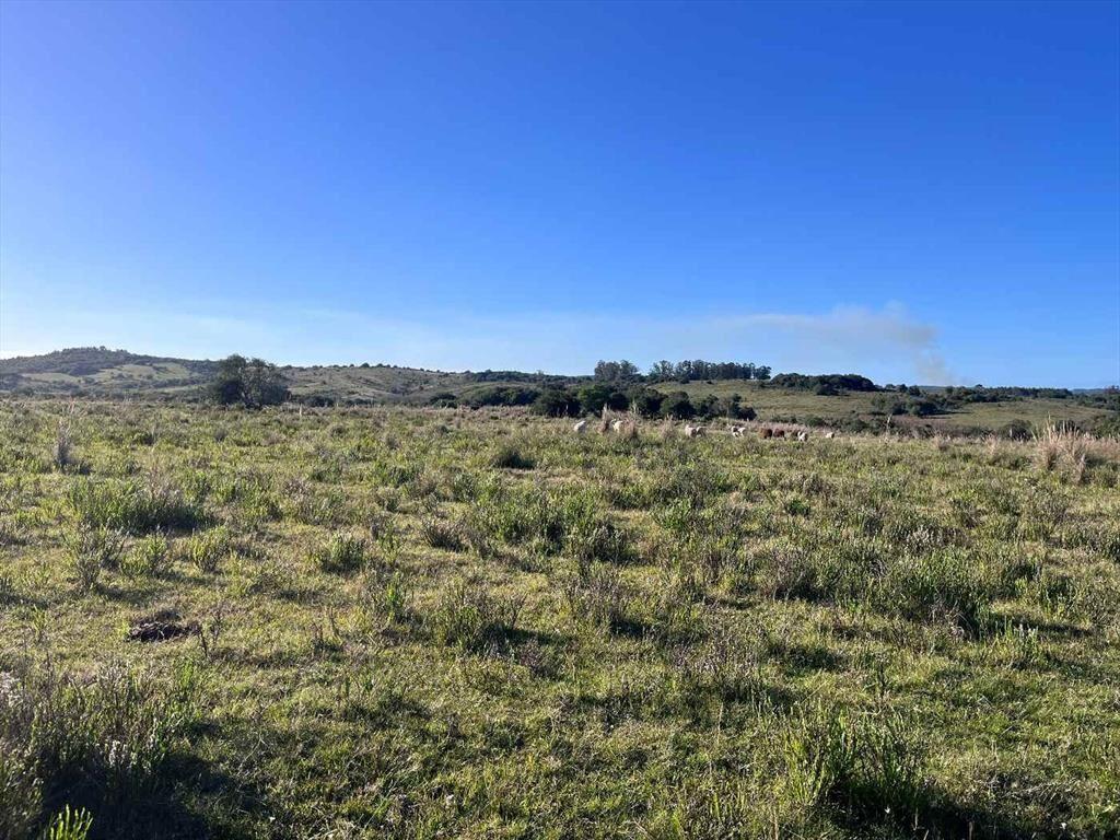 Campo en venta al norte de Garzón - Buen acceso