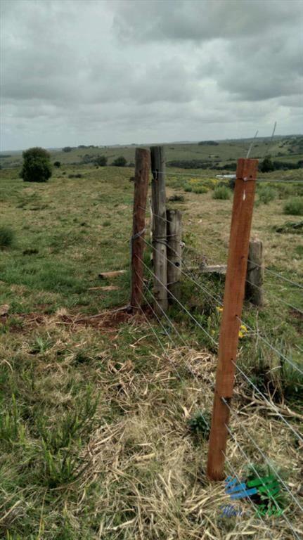 Linda fracción de campo ganadero con aptitud