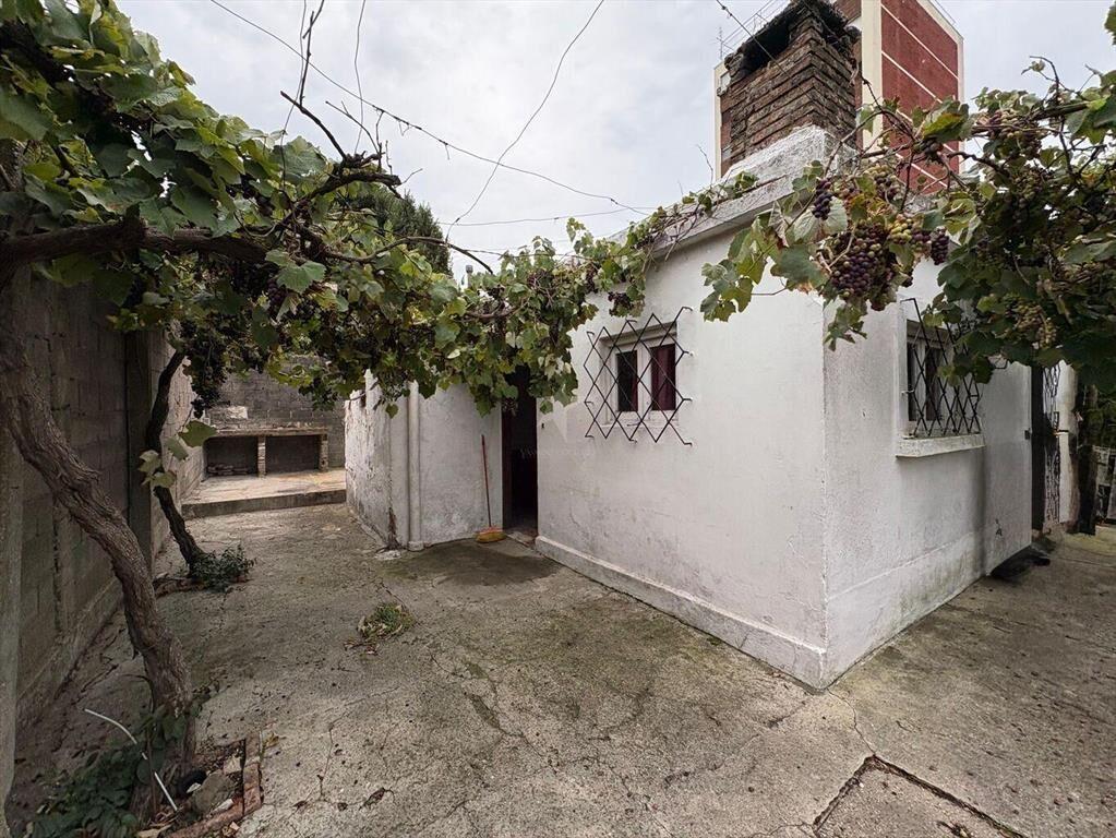 VENTA TERRENO BUCEO