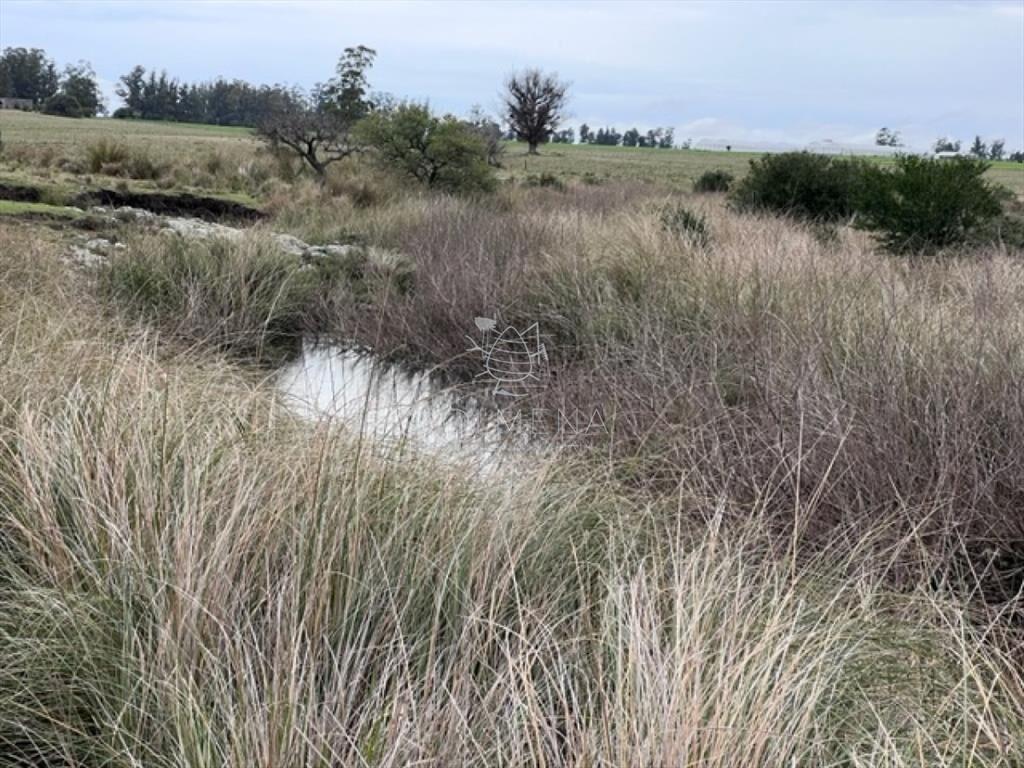 Campo de 22 has 6862 m2 cerca de Punta del Este