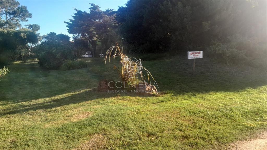 Terreno en Punta Ballena, Tio Tom