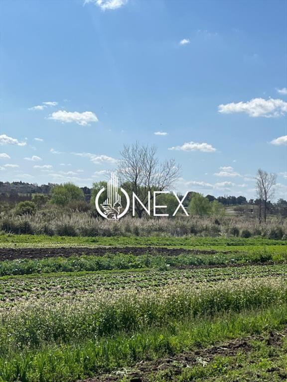 SE VENDE TERRENO BARRIOS PRIVADOS CANELONES. A DE
