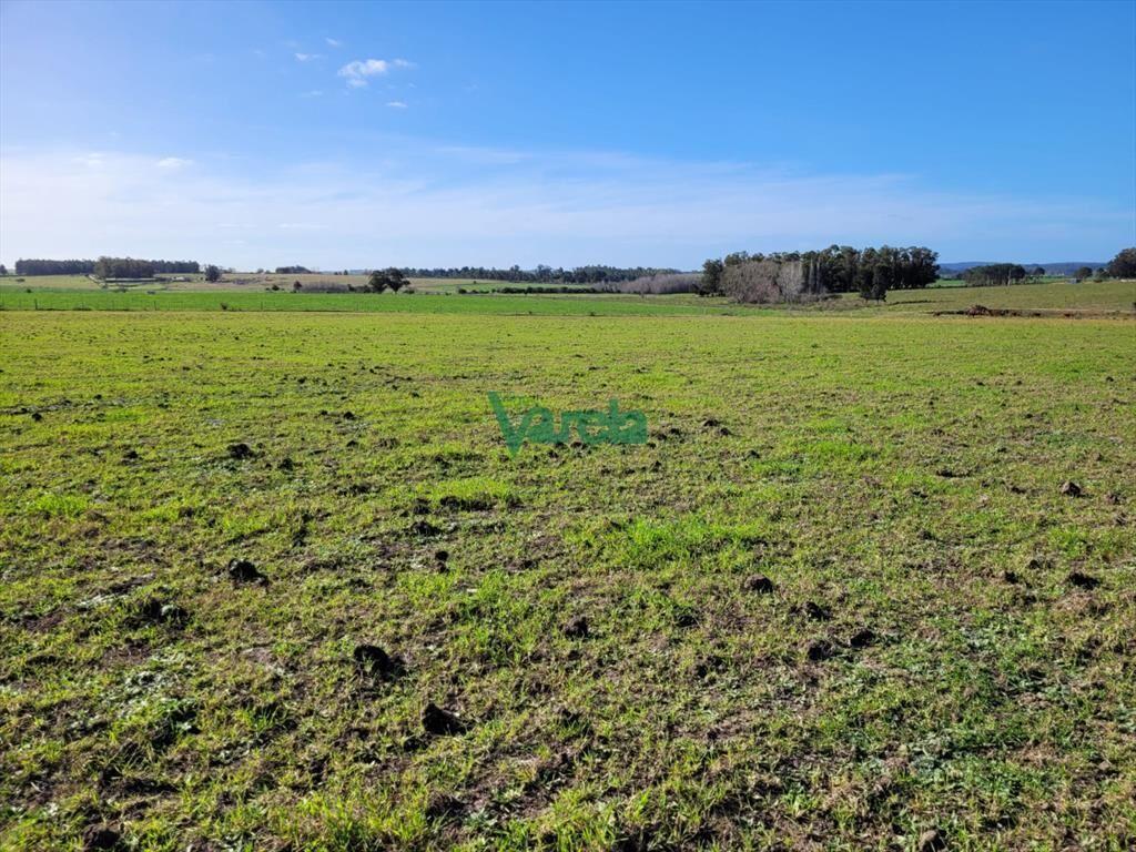 Chacra a la venta en Atlantida