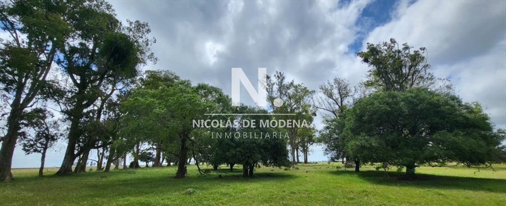 En venta campo en Treinta y Tres, ubicado a 12 de