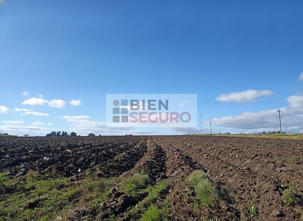 Chacra de casi 7 hás. en venta en Canelones, Próximo a Ruta
