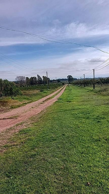 Venta de Chacra productiva en Melilla casas viñedos montes