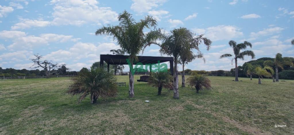 Venta de Chacra 10 has.próxima a La Palmita y 8