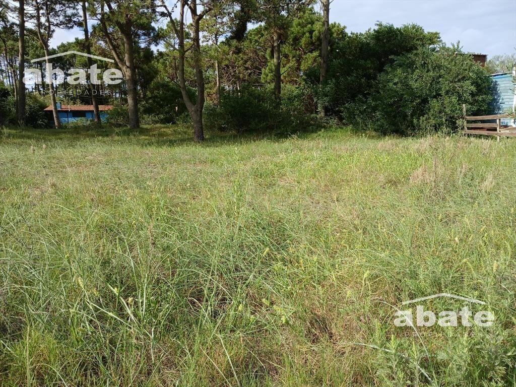 Venta Terreno en Punta del Diablo