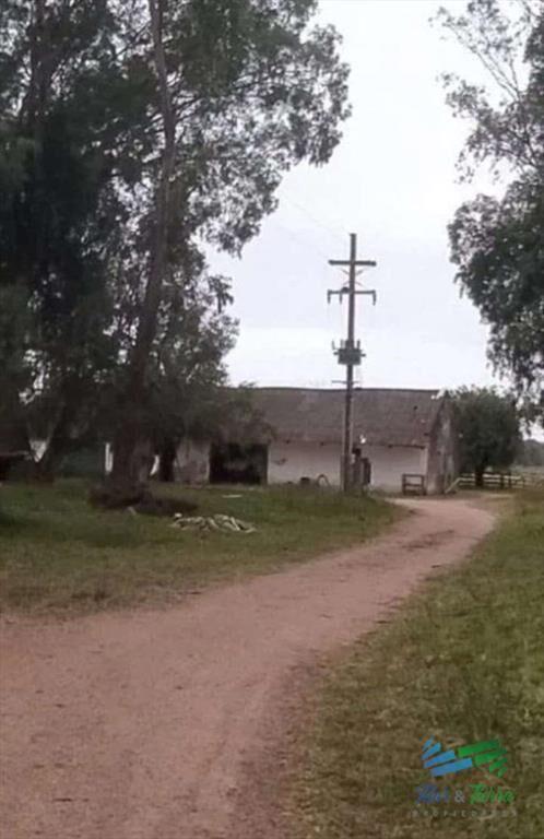 445 Has Campo Ganadero