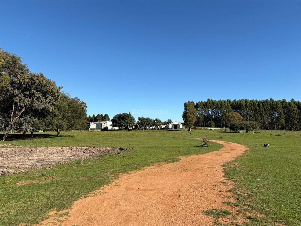 Venta Campo Durazno