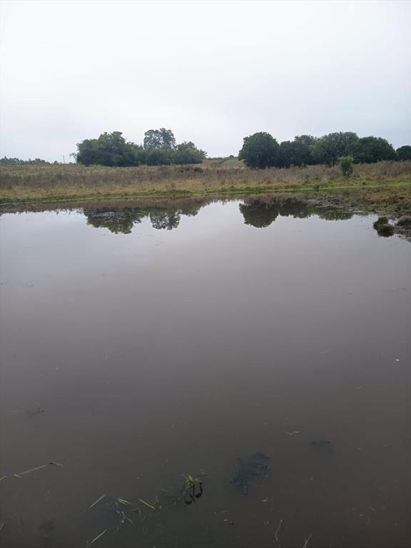 Campo 29,5 Hás. A17 Km de San José de Mayo