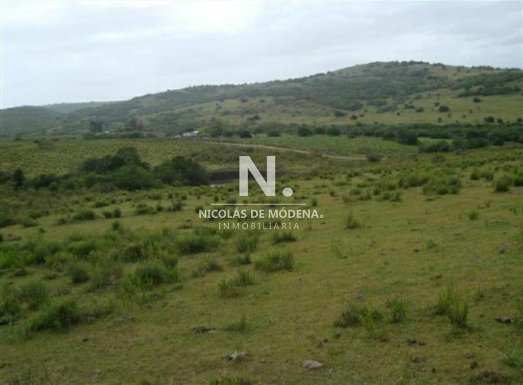 Campo de 95hás.
