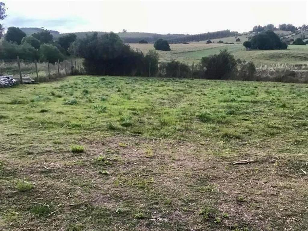 Terreno de 2000mts en venta en Pueblo Edén