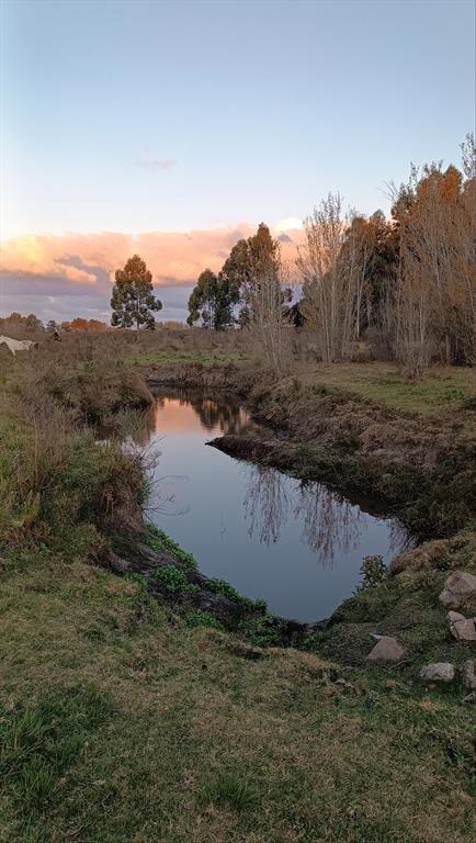 Venta - Campo de 5,6 hectáreas - A 8 km de Atlantida