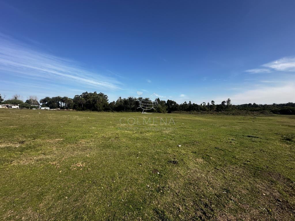 Venta lote para fraccionamiento, San Carlos