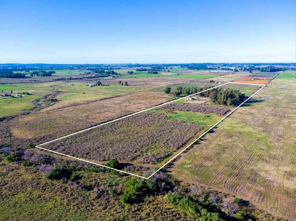 Venta de campo 10Ha. con casa en Estación Pedrera