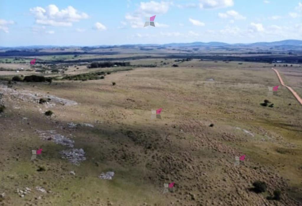 VENTA DE CHACRA EN RUTA 39 SAN CARLOS