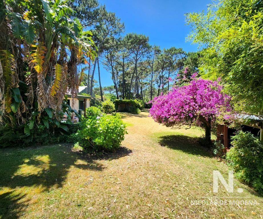 Venta Casa en Portezuelo, zona bosque, Punta Ballena