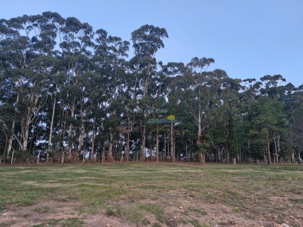 TERRENO EN DON MIGUEL