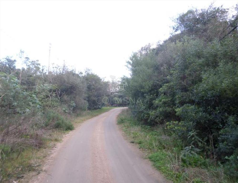 Punta Ballena - Zona Rinconada
