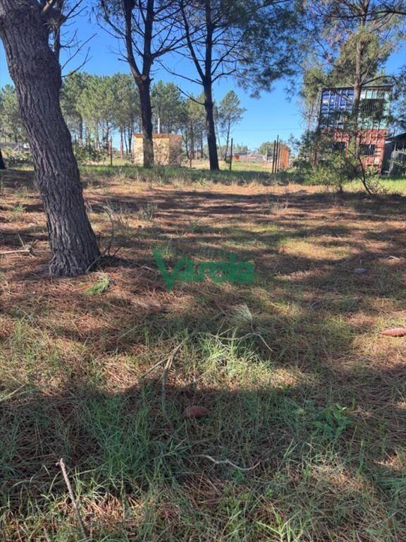 Venta terrenos Solymar , Entrega $ 300.000 más cuotas de 1