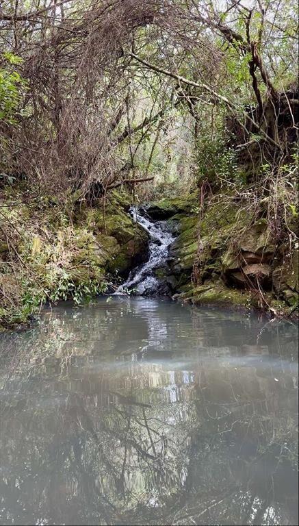 Campo 221 há Caza Mayor y Turismo sobre Ruta 98 — Sierra, A