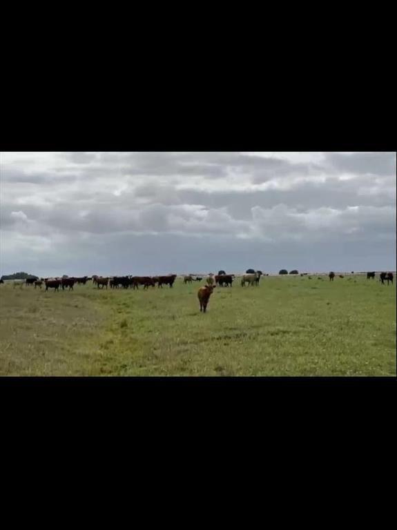 125 HECTÁREAS EN RINCÓN BRAVO, ROCHA