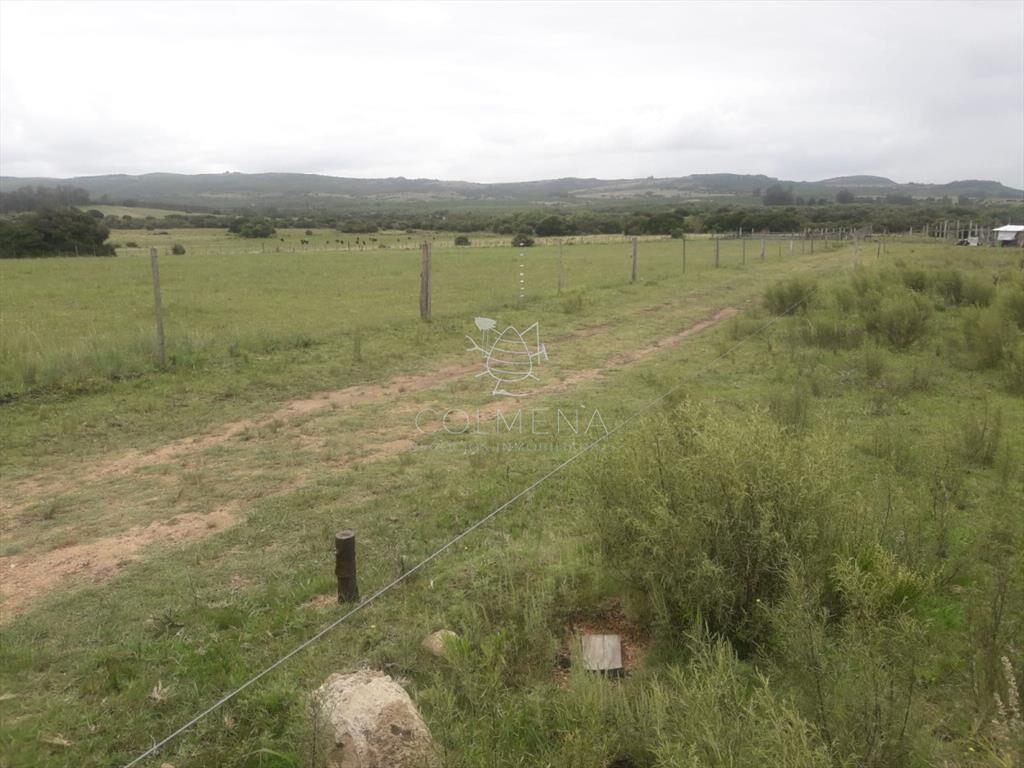 Campo de 5 has con 5891 m2