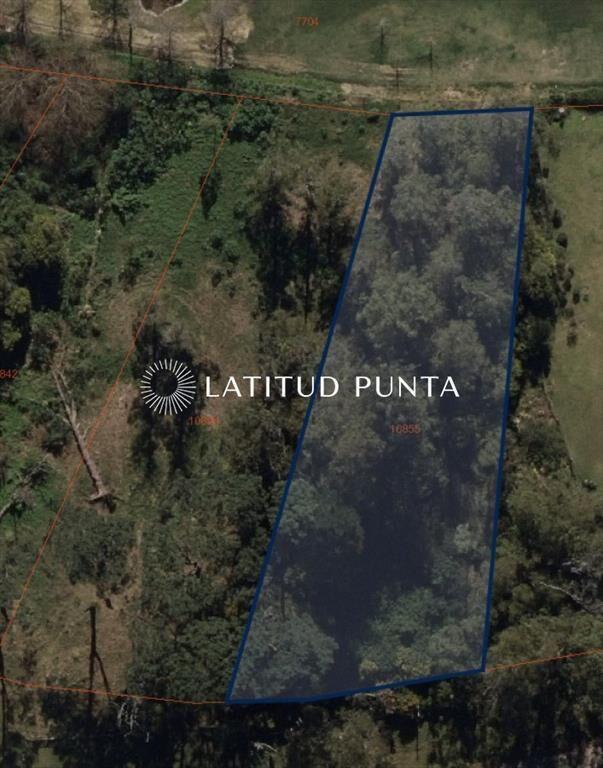 Terreno de gran superficie en zona habitada todo