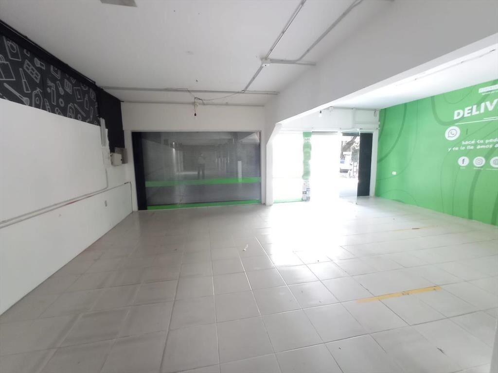21 de setiembre proximo Ellauri , 8 mts de frente, 219 m2 !