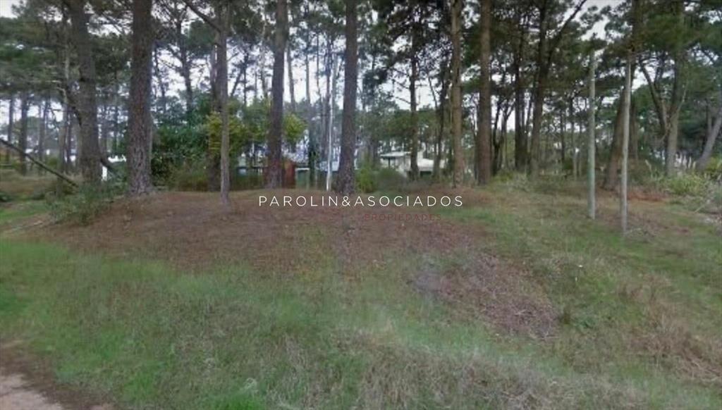 TERRENO EN VENTA MONTOYA , LA BARRA