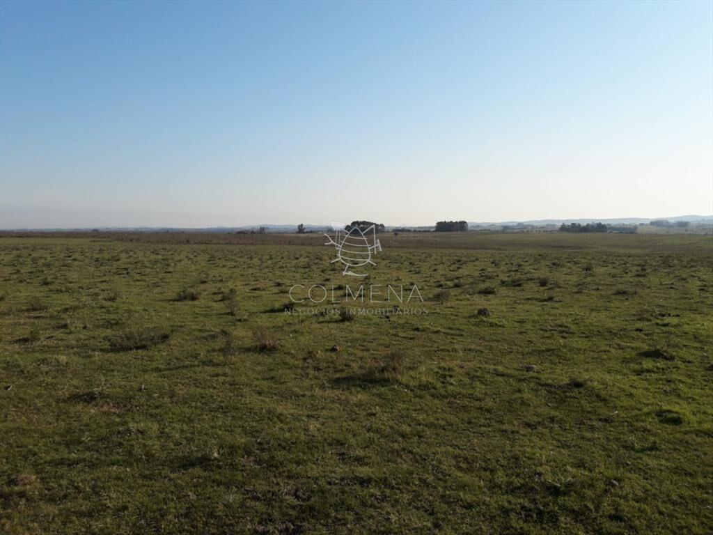 Campo de 66 has con 1991 m2 - En Corte la Leña -