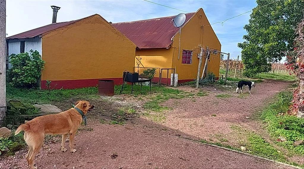 Venta de Chacra productiva en Melilla casas viñedos montes