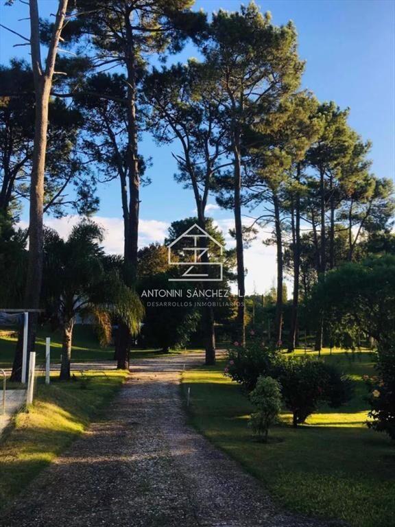 Casa de 4 dormitorios en venta en Punta Ballena