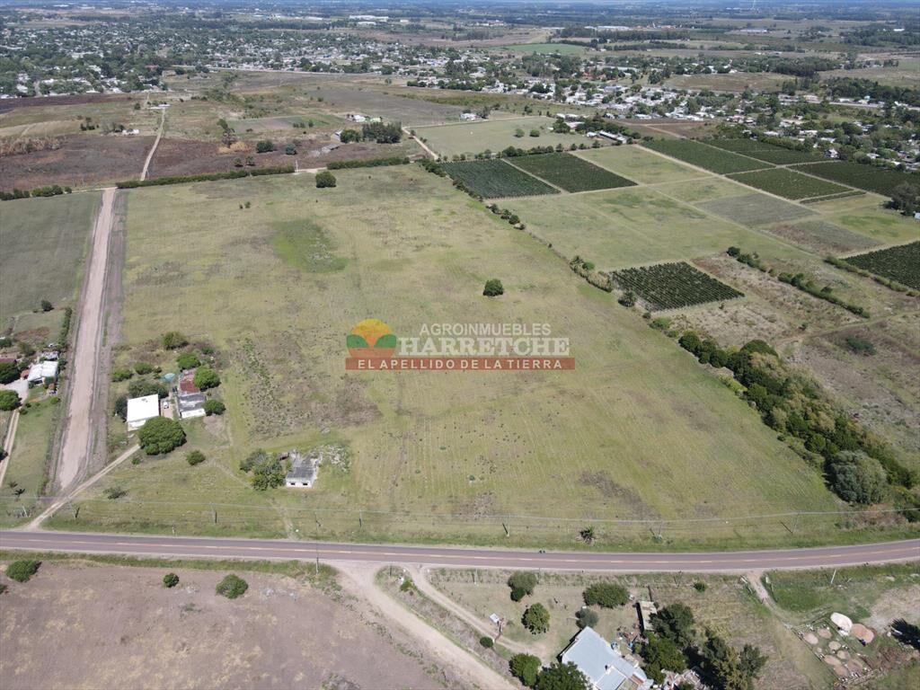 Terrenos en venta en Progreso, fraccionamiento de