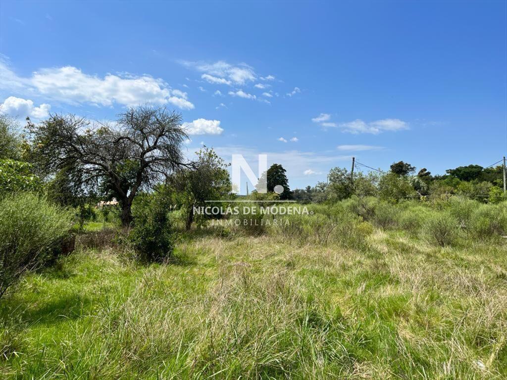 Gran terreno en venta en Pueblo de Garzon
