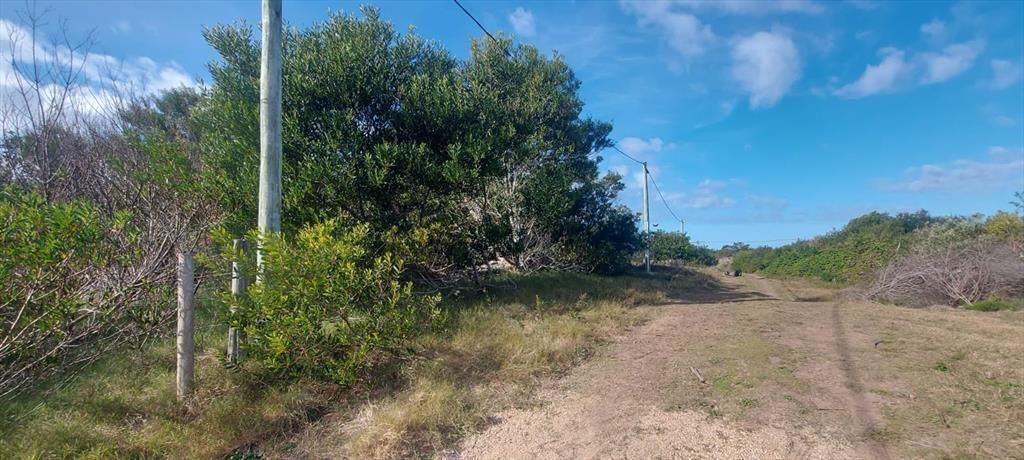 Oportunidad: dos padrones contiguos en Punta Rubia