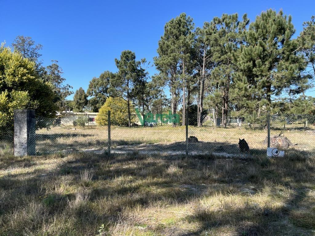 Terreno de 5608 m2 Pinar Sur , en venta .