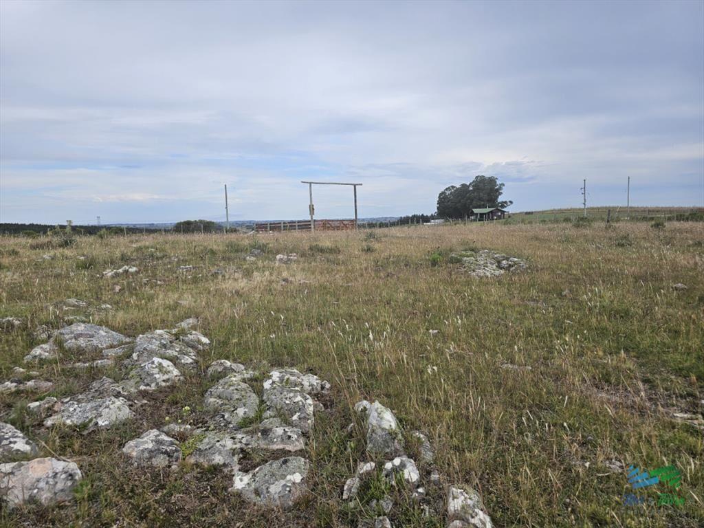 En venta chacra 3 hectareas, proxima ruta 39, a