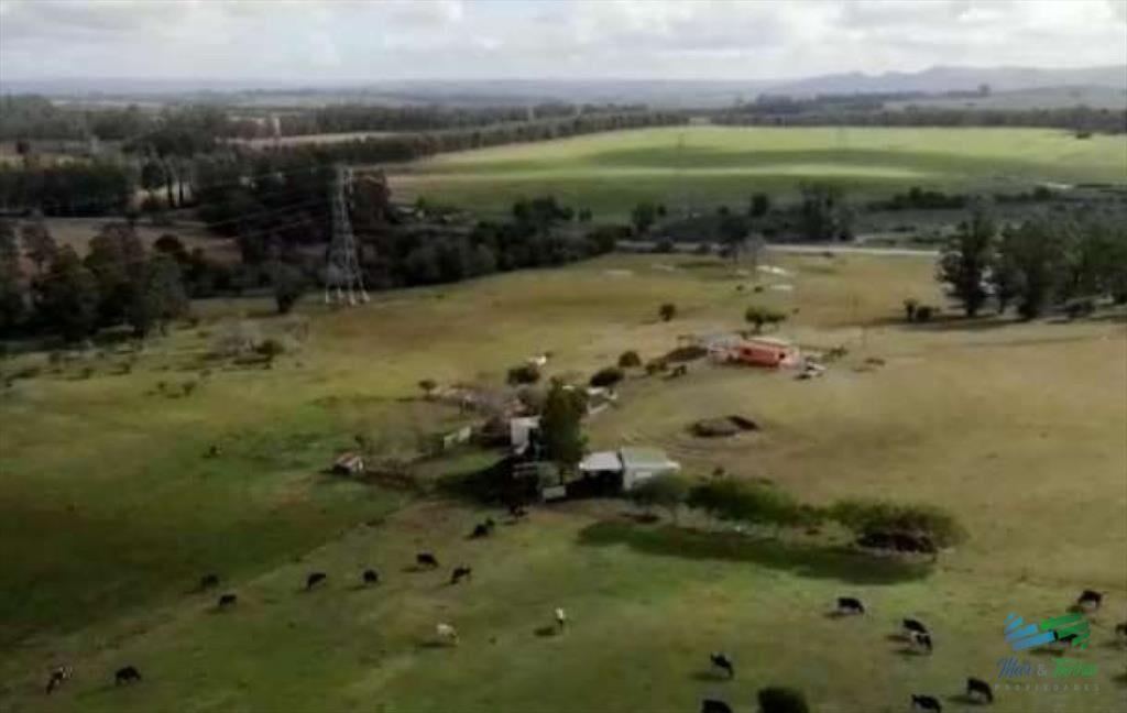 Muy linda fracción de campo, excelentemente con
