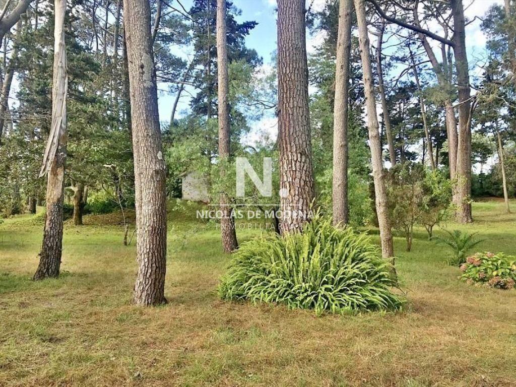 Terreno en venta Cantegril