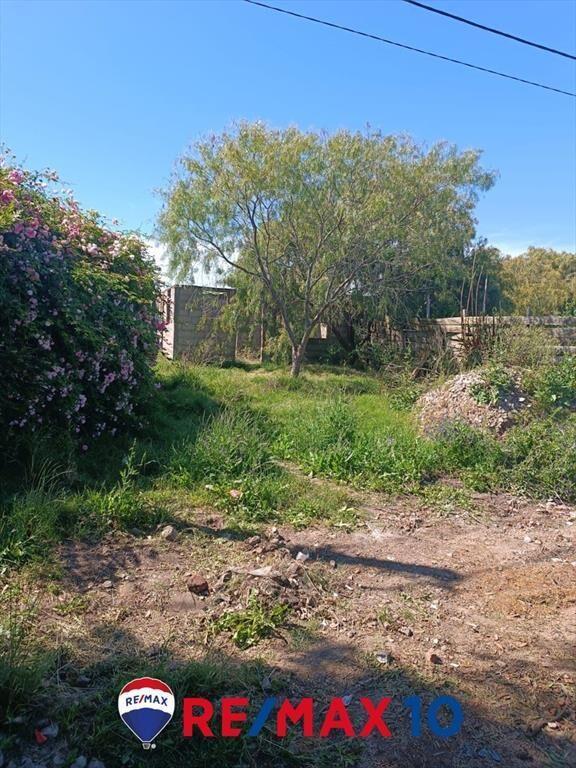 Terreno con Mejoras
