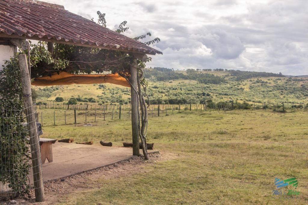 Estancia de 882 Has, campo mixto Ganadero - muy