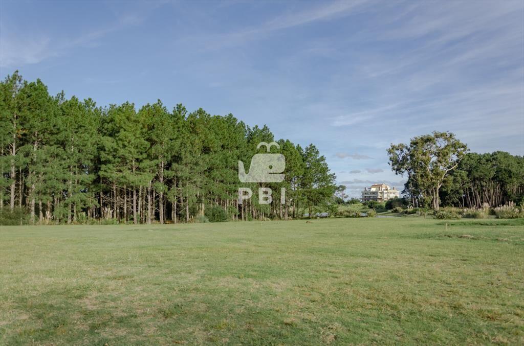 Venta de Terreno en Piedras del Chileno, Punta -