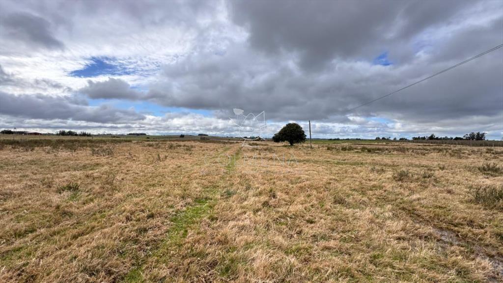 Campo de 3 has en Corte la leña