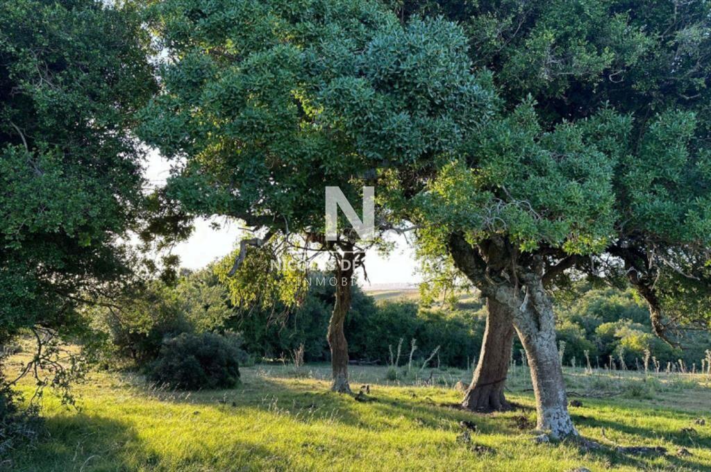 Vende campo de 42 has, en Maldonado Garzon.