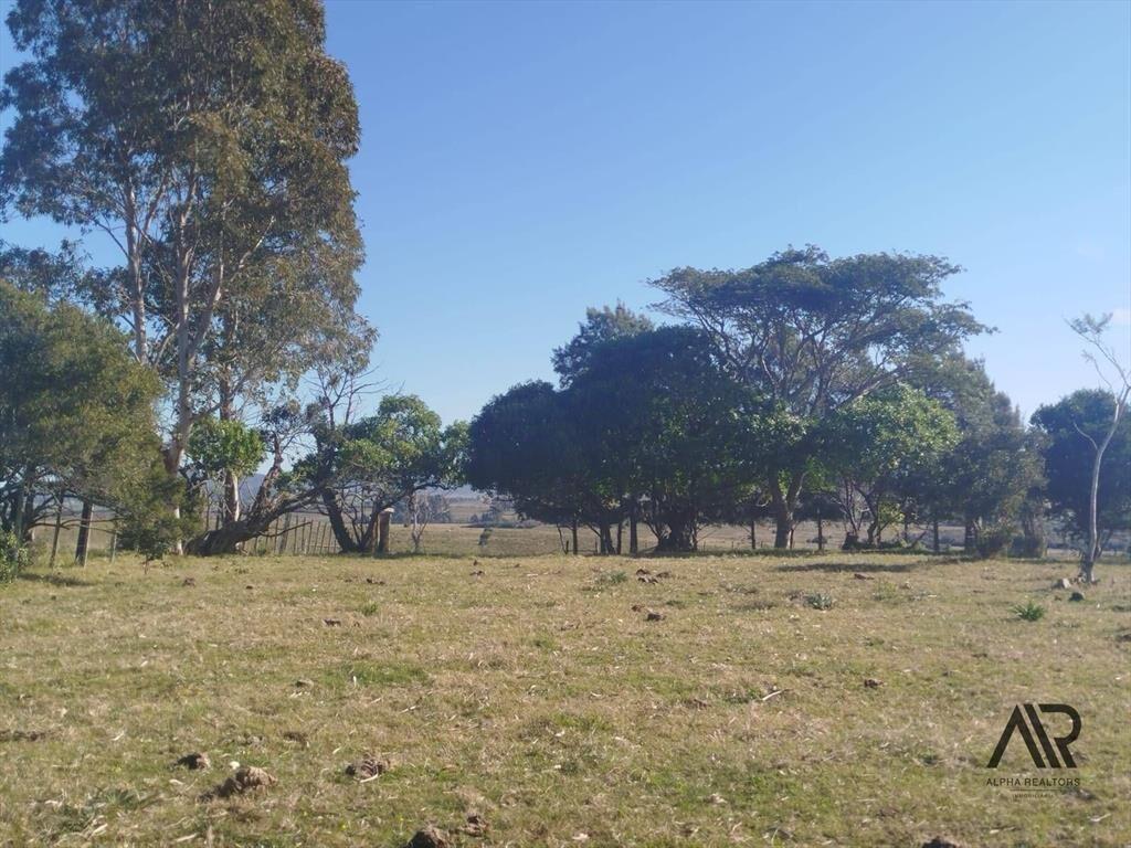 Chacra de 28 hectáreas, con casa y lindera al Arroyo San...