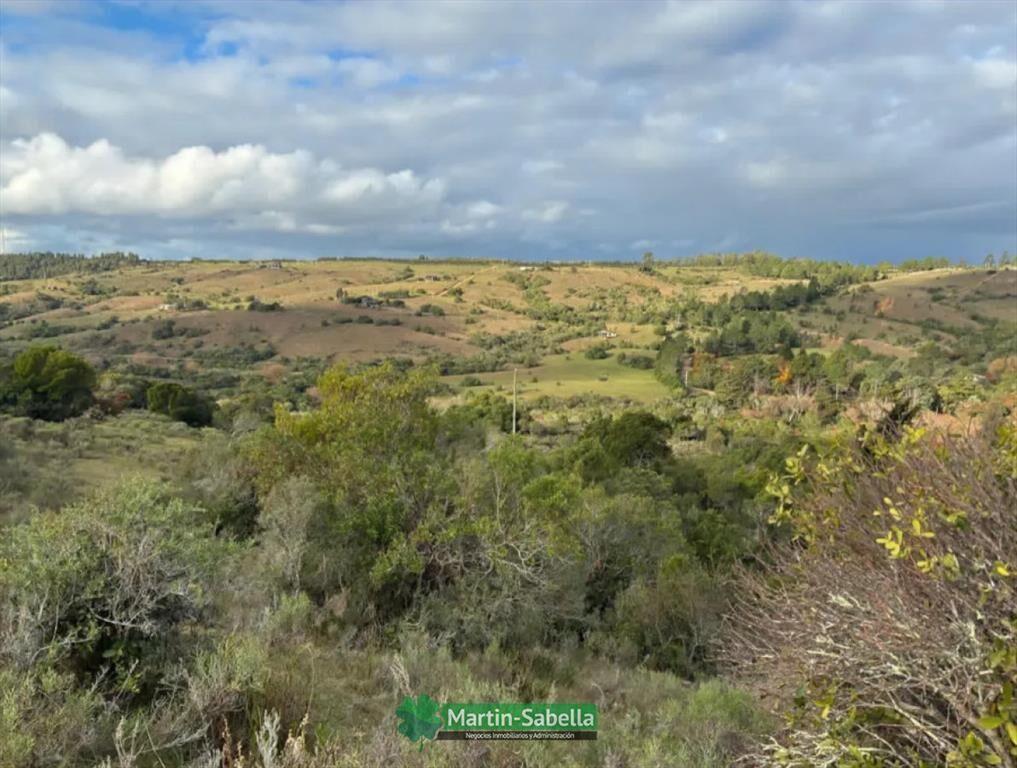 Campo en Venta - Lavalleja