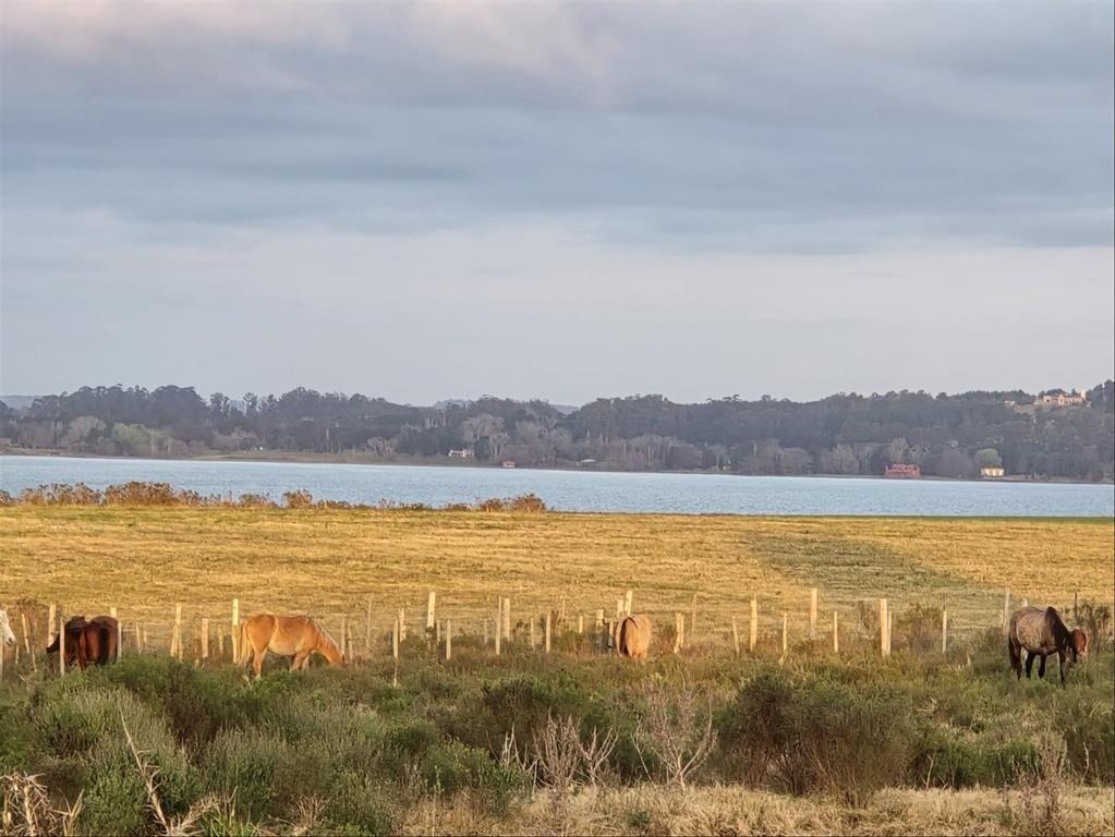 Chacras de 5 hectareas en laguna del sauce