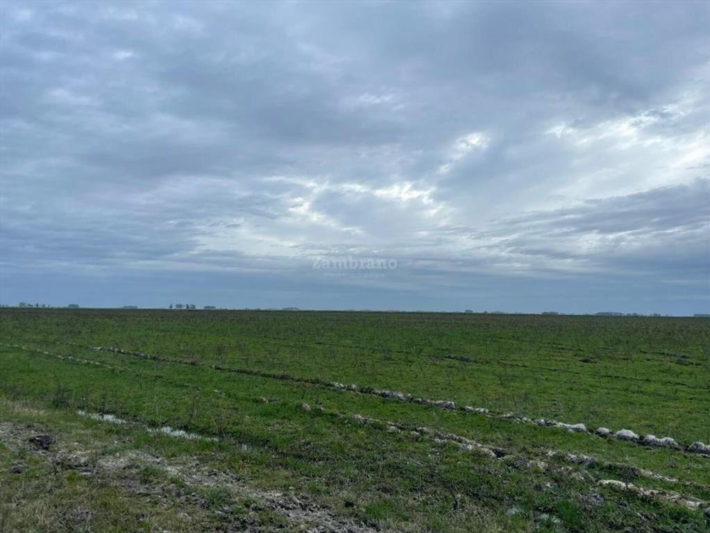 Estancia Ganadera Agrícola en Lavalleja
